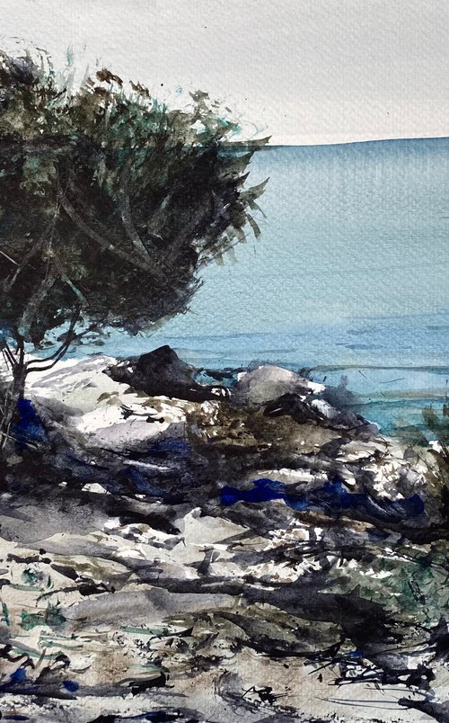 ...olive trees by Tihomir Cirkvencic