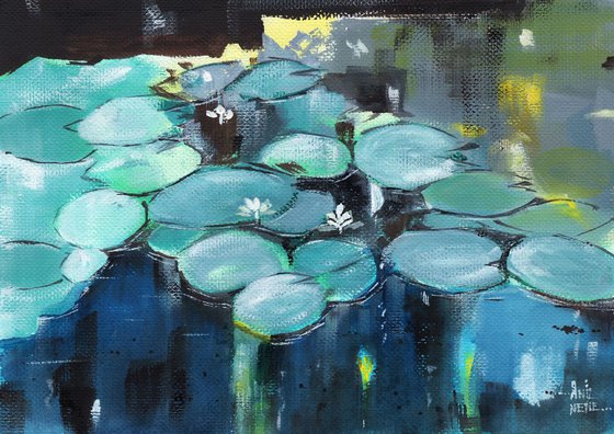 Lilly Pond 1