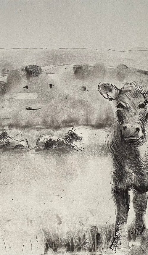 Cattle in the top field by Paul Mitchell
