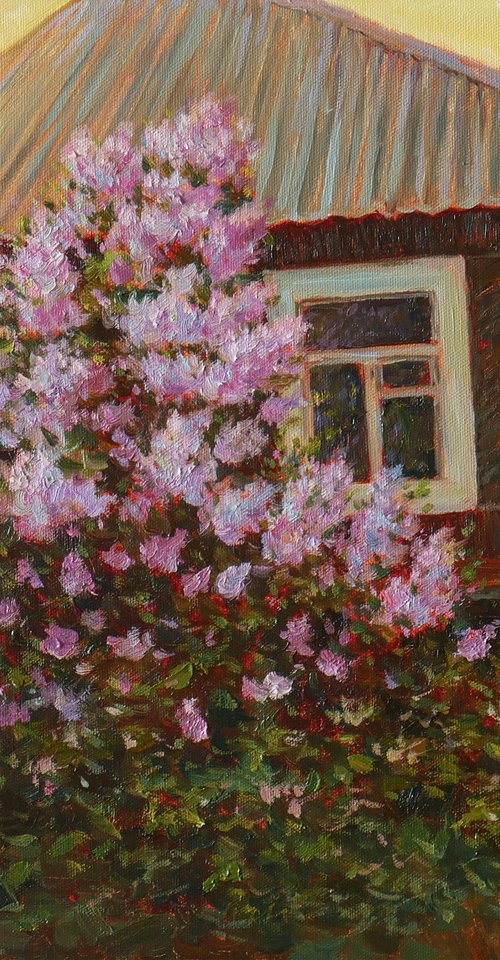 Golden Hour Blooms by Nikolay Dmitriev