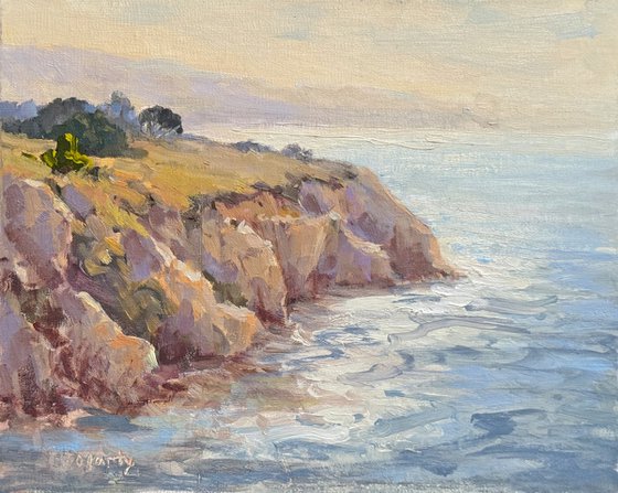 Coastal View From the Bluffs