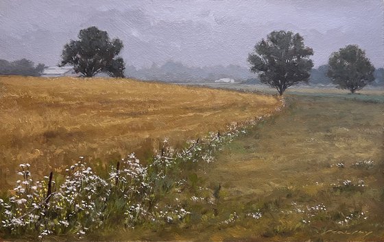 Wheat Fields and Wild Carrot