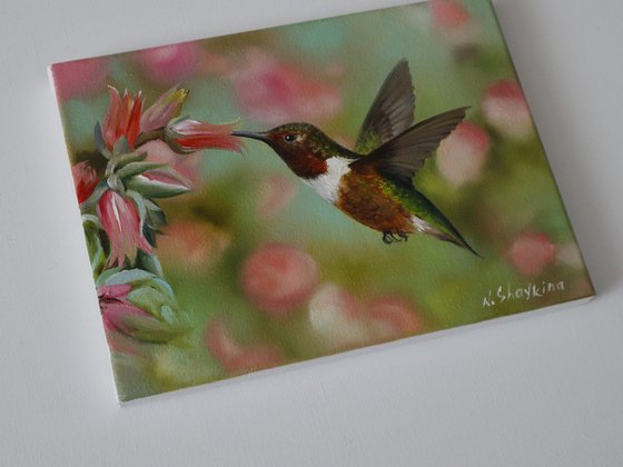 Hummingbird with Flowers
