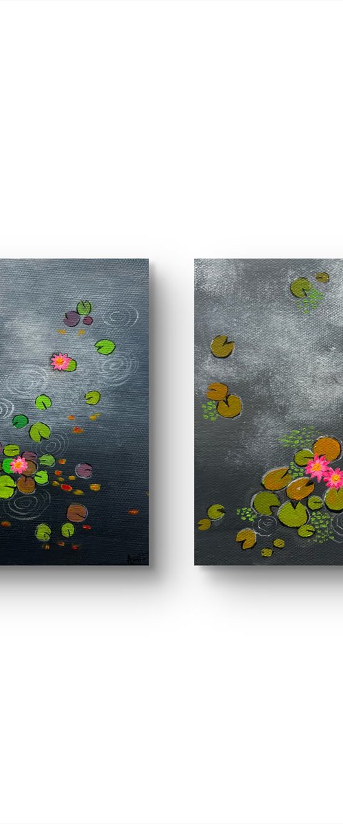 Mini Waterlily ponds by Amita Dand