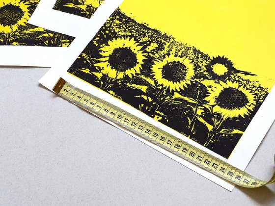 Yellow Sunflower Filed