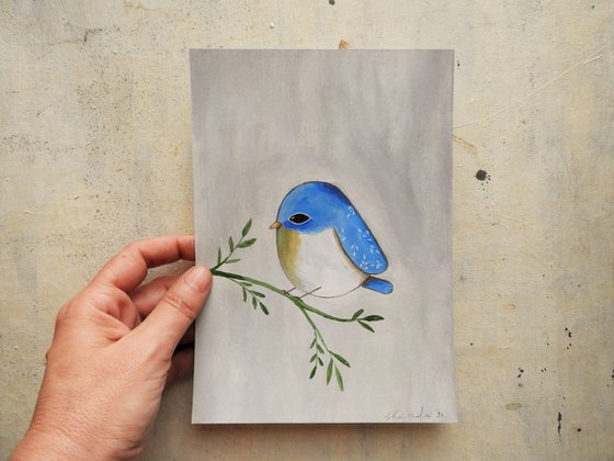 The light blue bird