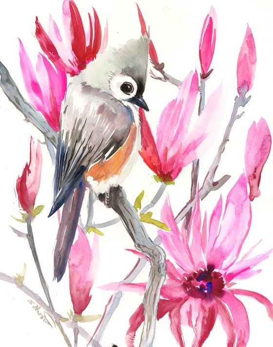 Titmouse Bird and magnolia Flowers