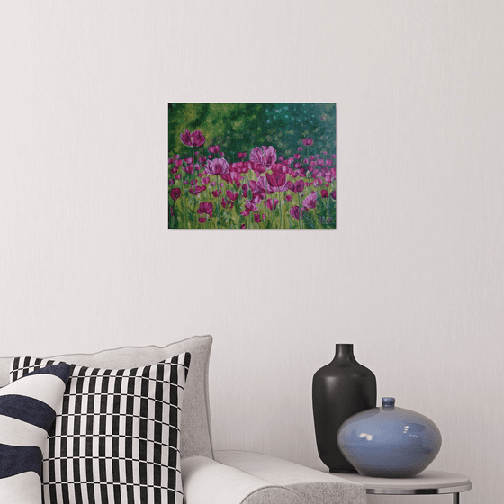 Field of pink poppies