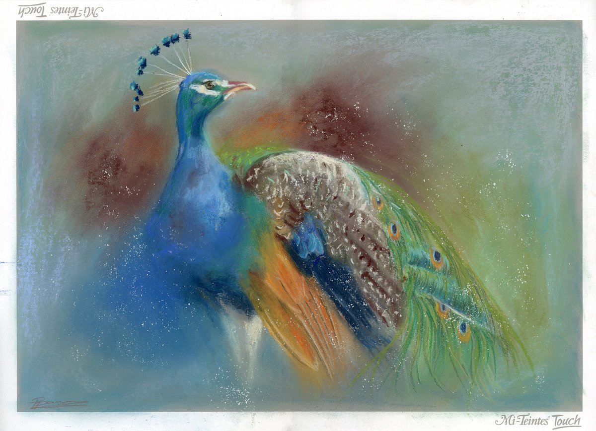 Impressionistic Animal Pastel Drawing By Olga Tchefranov (Shefranov), 17 X 12", Peacock, Original Artwork
