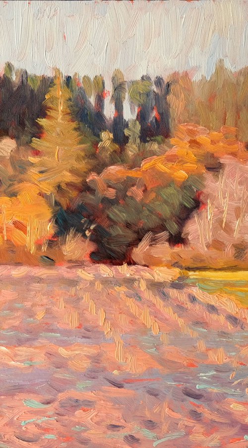 In the Black Forest 20. by Richard Mierniczak