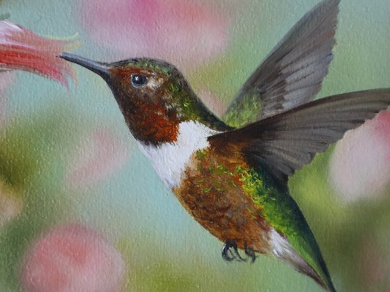 Hummingbird with Flowers