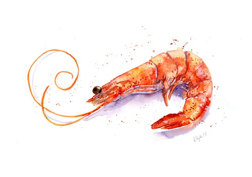 Shrimp Watercolour inks by Kathryn Coyle