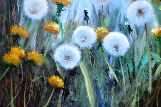 Sunny dandelions