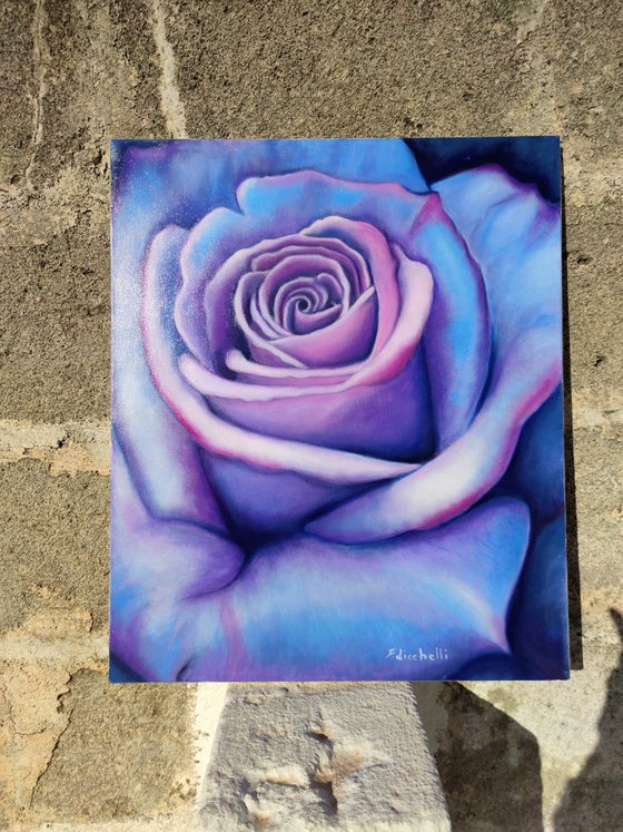 Sapphire rose