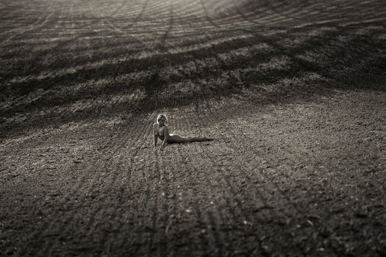 Telluric Fields II.