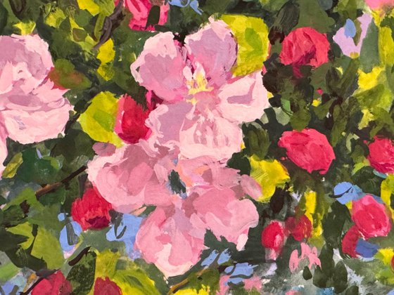 Crabapple Blossoms