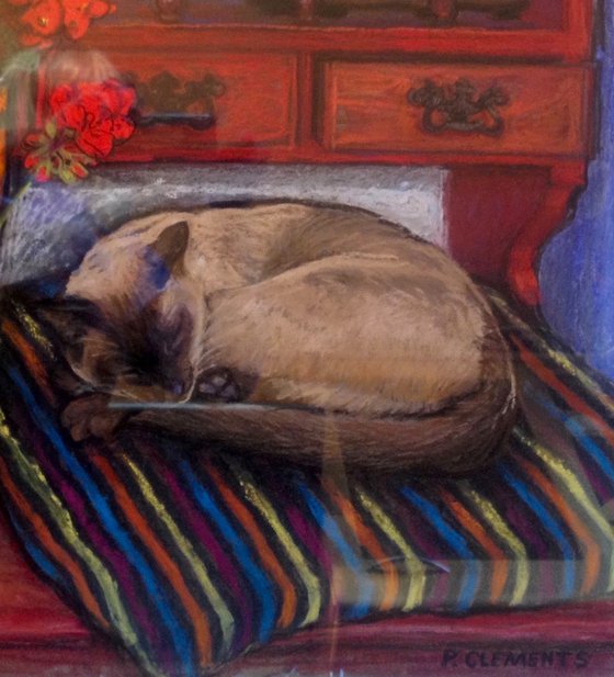 Bob the cat on the dresser