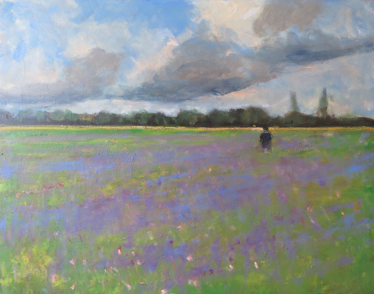 Water Meadow, June 6 by Malcolm Ludvigsen