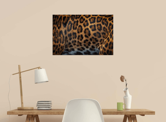 Jaguar coat abstract