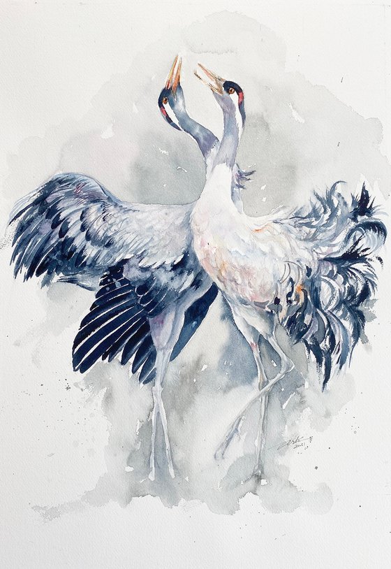 Dancing Cranes