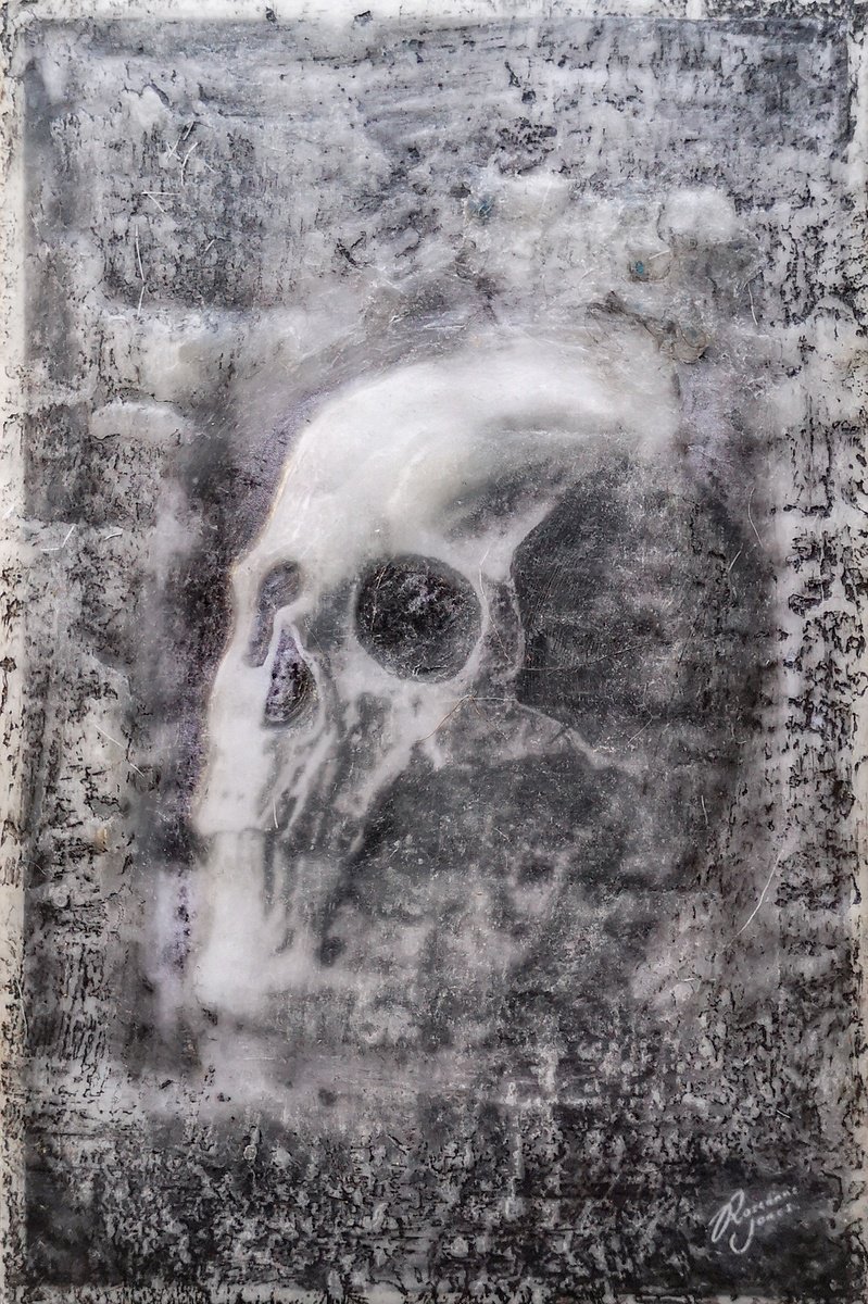 Skull Fade by Roseanne Jones
