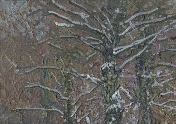 Boulevard in winter