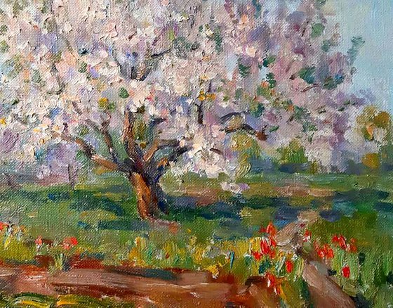 Oil painting Apricots bloom nKoval141
