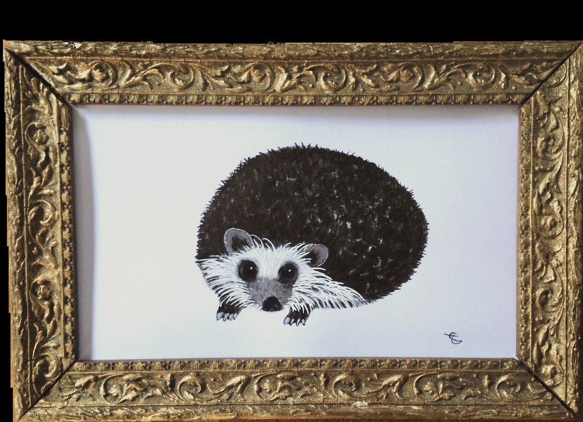Hedgehog pygmy of Africa by Eleanor Gabriel