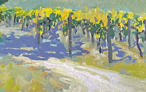 Carmel Valley Vines Landscape