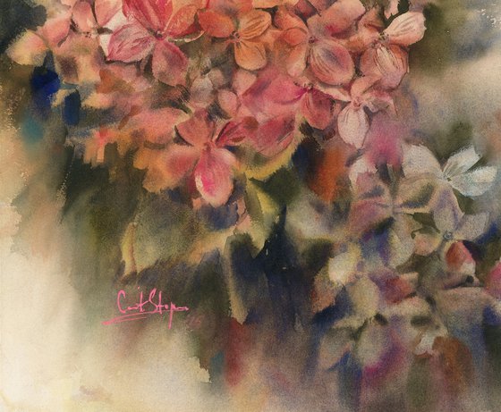 Pink Hydrangea