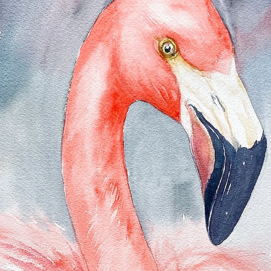 Flamingo Fifi