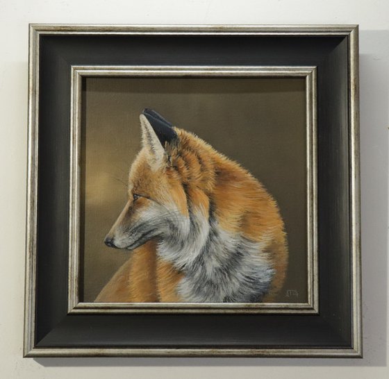 A Fox