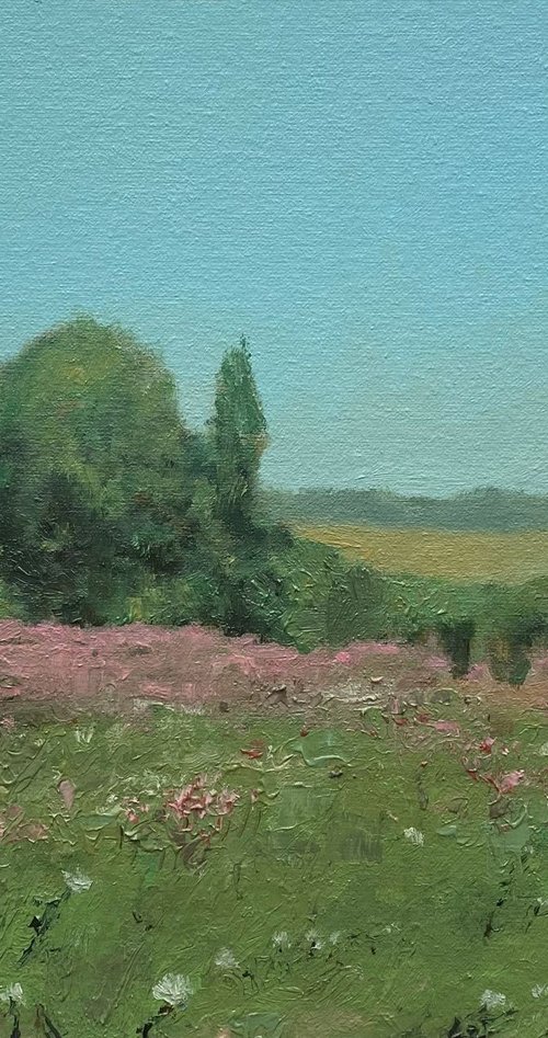 Wildflower meadow by Bohdan Vykhrenko