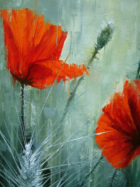 "Wild poppies" , poppies