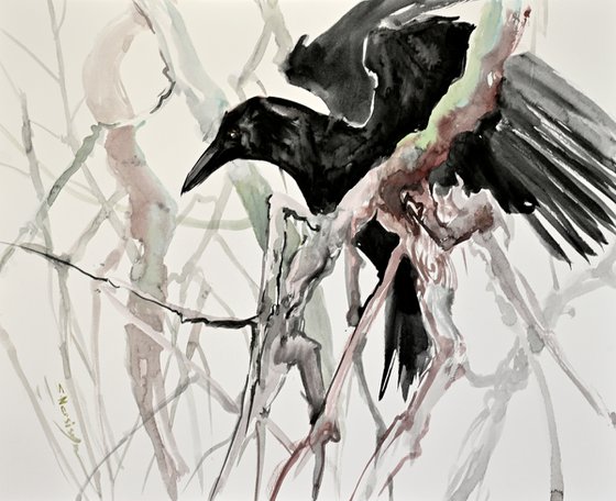 Flying Crow in the Forest