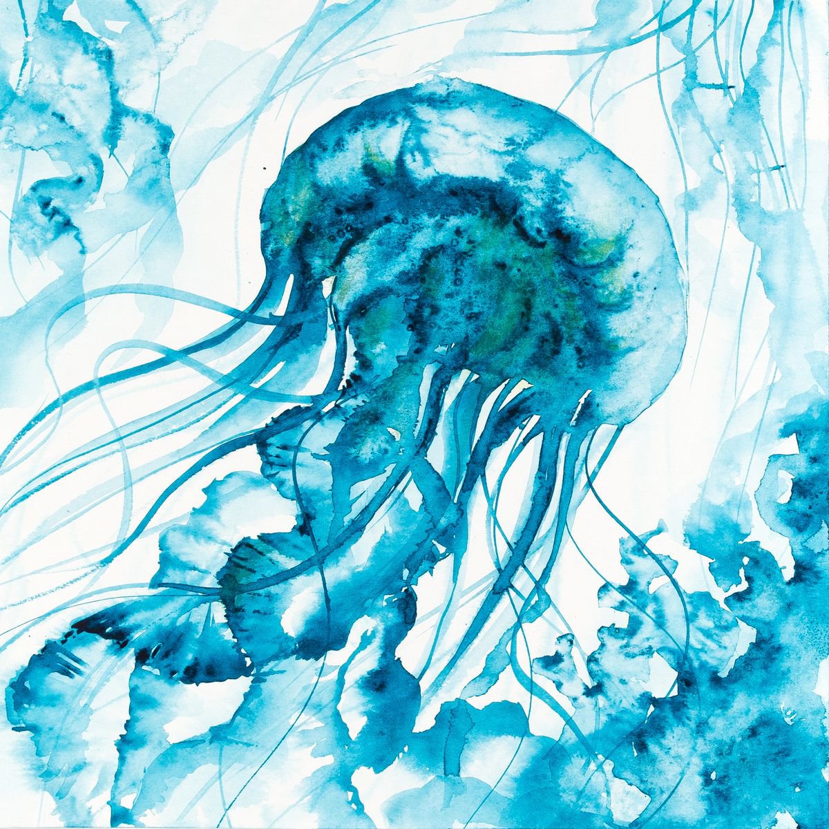 Jellyfish by Lidiya Doukhnevitch
