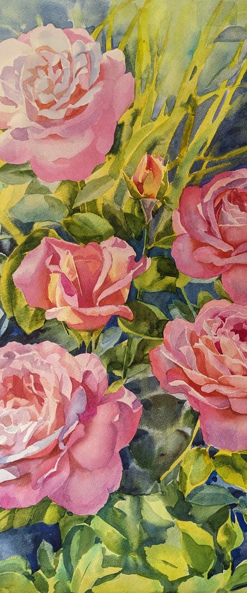 Pink roses by Yuryy Pashkov