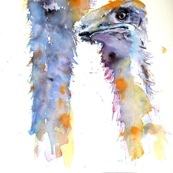 Ostriches