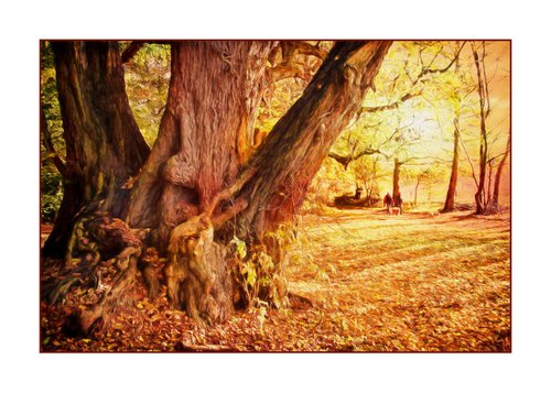 An Autumn Walk by Martin  Fry