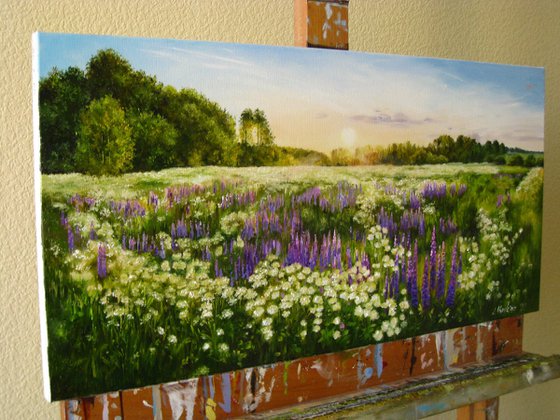 Lupine Meadow Landscape