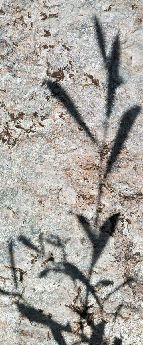 Shadows on the Stone 3 by Dieter Mach