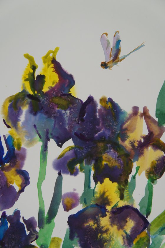 Irises and dragonfly