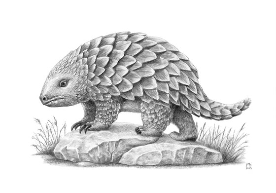 Fictional Pangolin