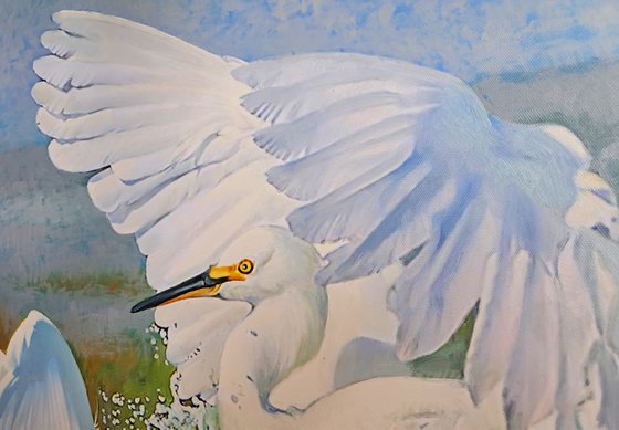 A MATING DANCE OF HERONS