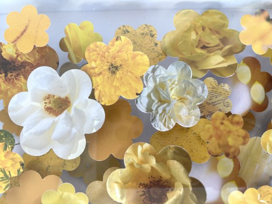 Full Bloom II