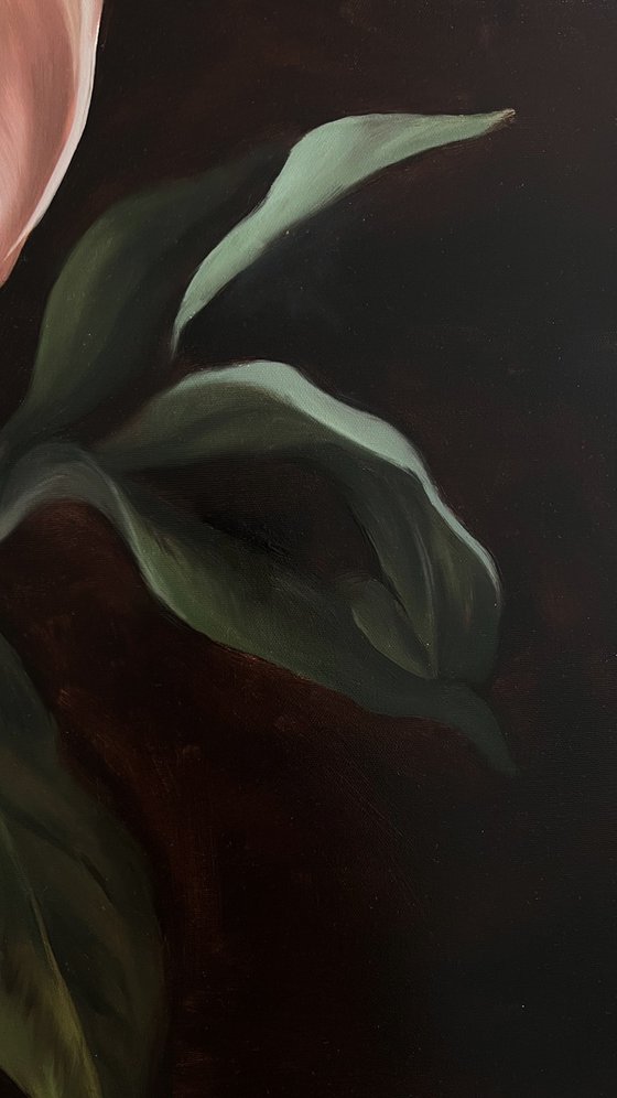 Old Holland flower 6