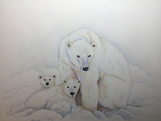 Polar Bear family