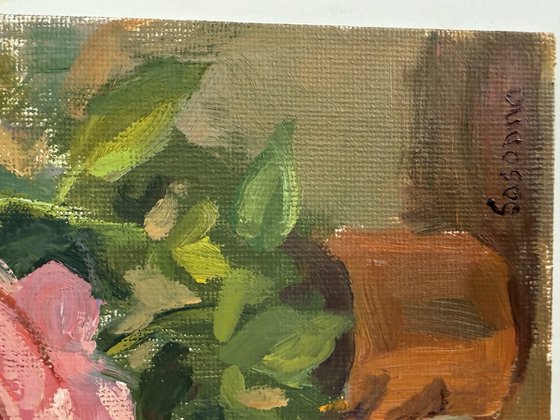 Roses, etude