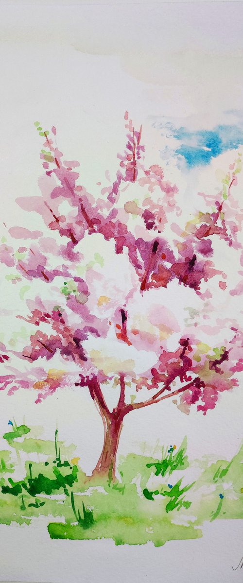 Spring cherry tree. by Mag Verkhovets