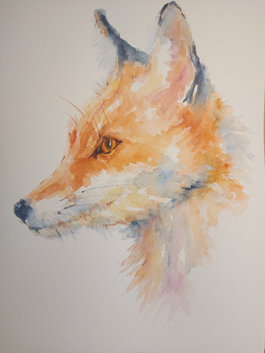 Watercolour fox by Sue  Green